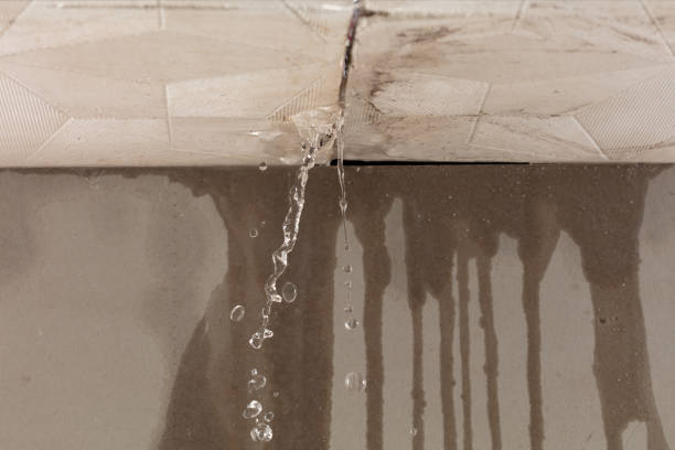 Professional Burst Pipe Cleanup technician working in Crofton, MD